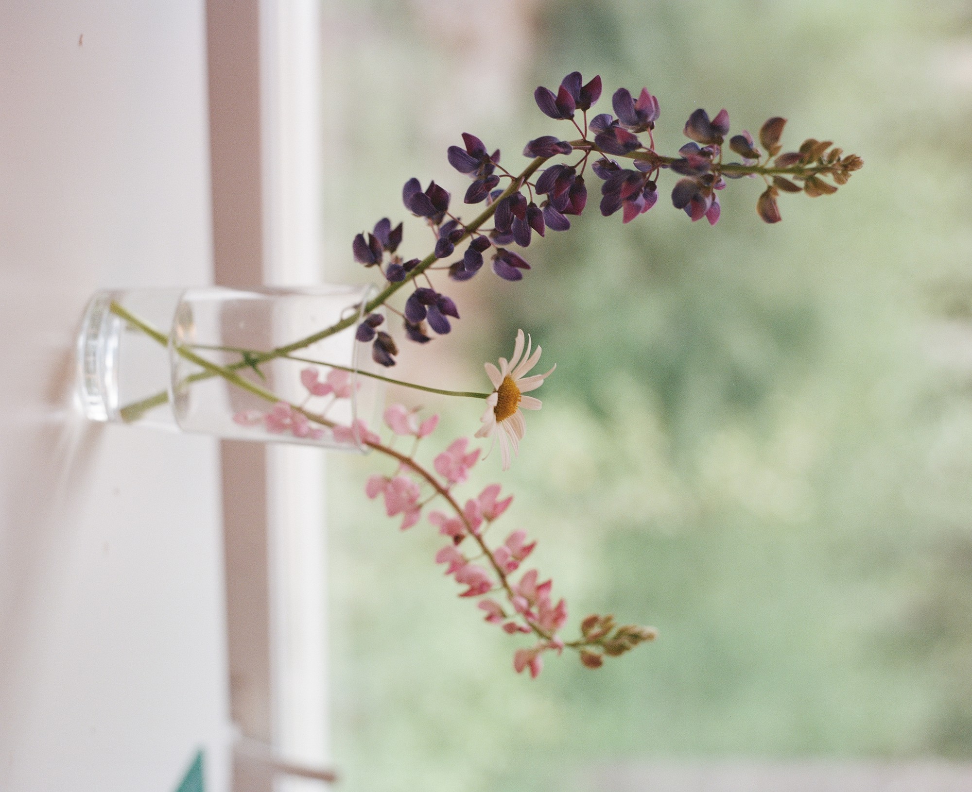 Wildflowers in a glass of water on a windowsill