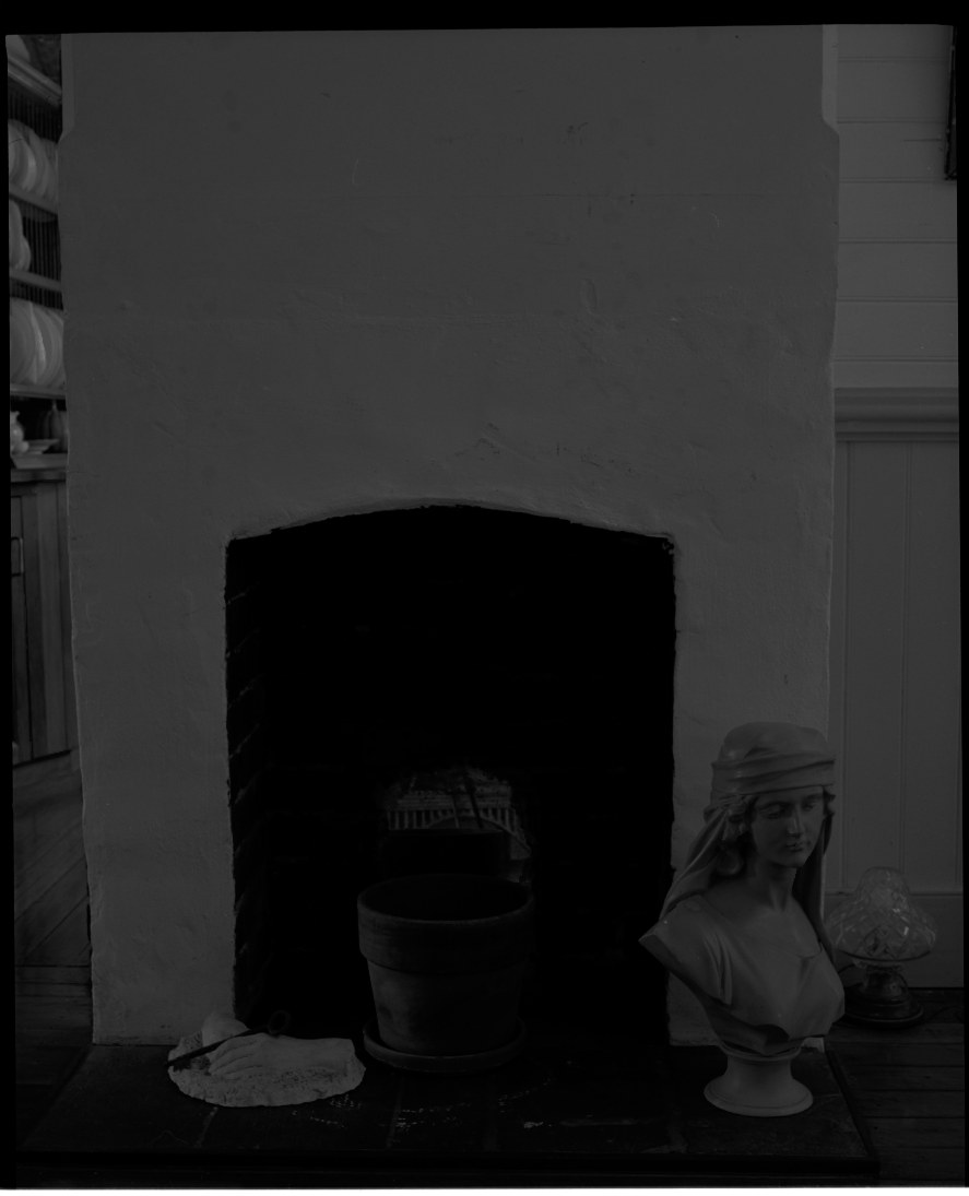 A plaster bust beside a fireplace, a flowerpot set inside the hearth