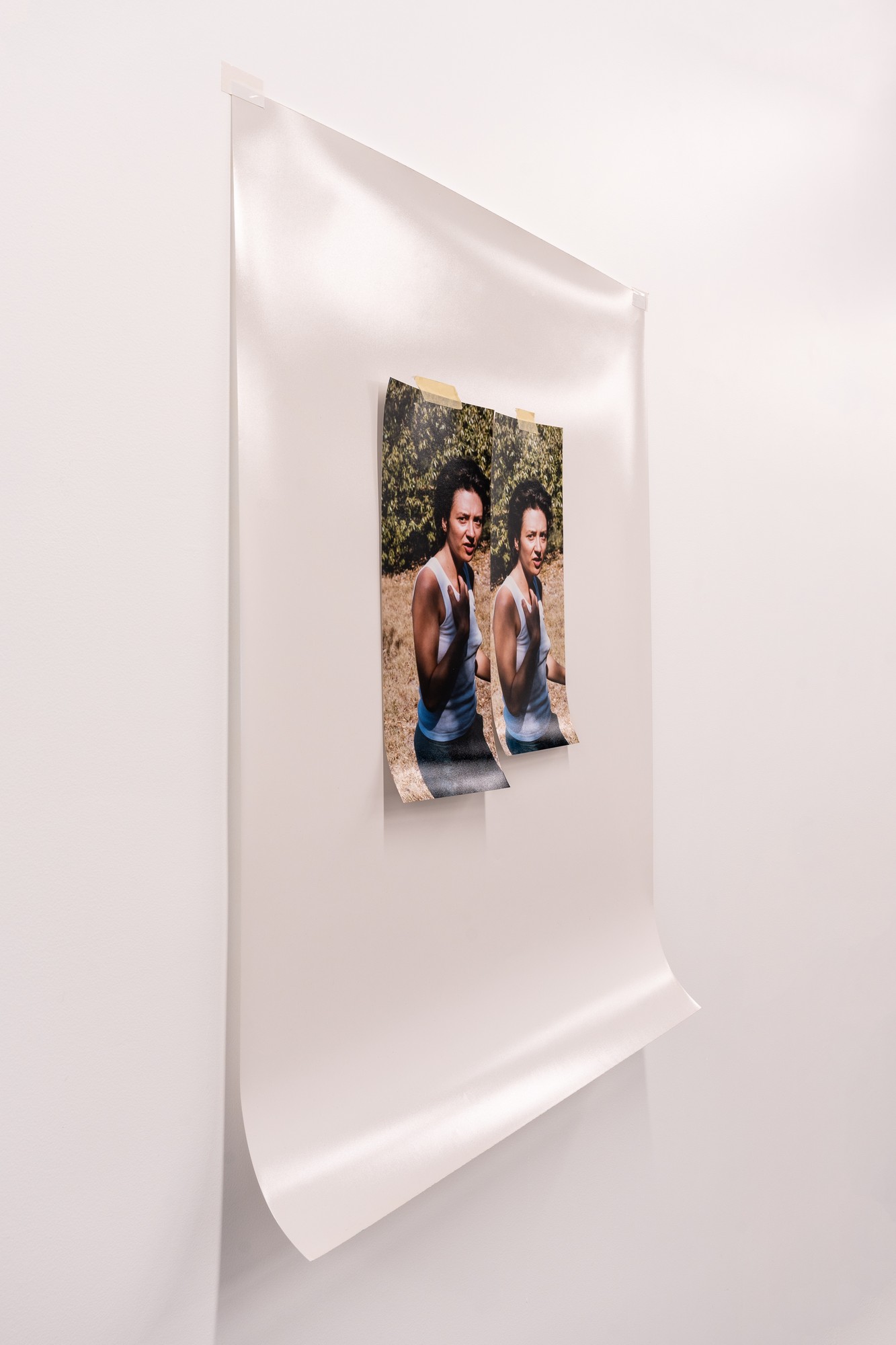 i must be living twice, hanging vellum print with taped diptych
