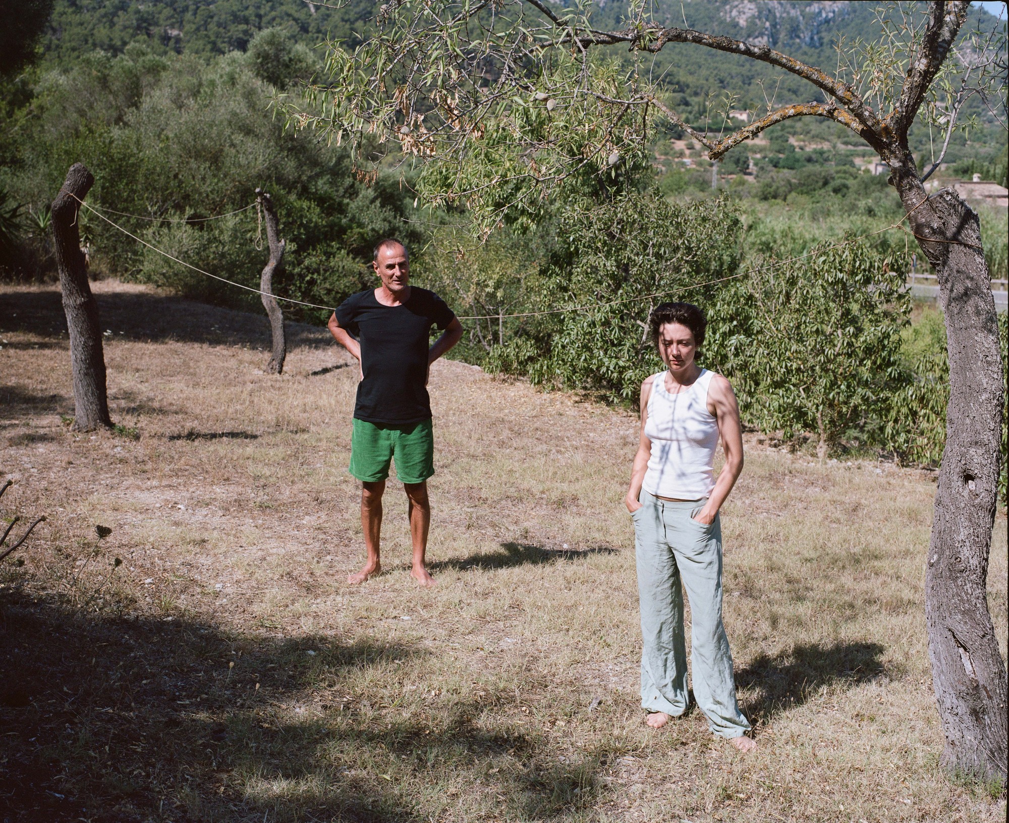 Two figures standing in a dry field under an olive tree