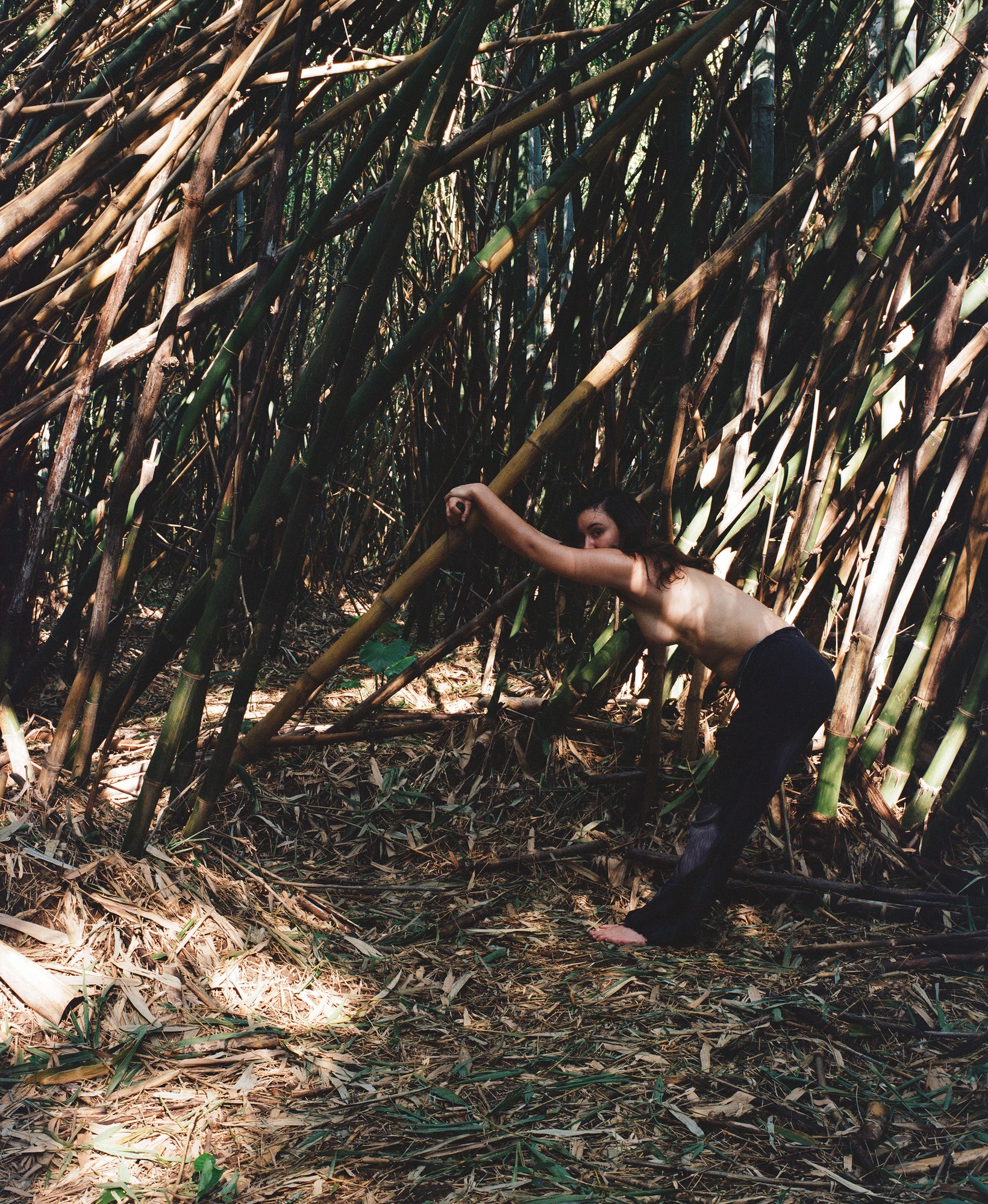 Figure bent forward in a bamboo grove, holding a bamboo stalk