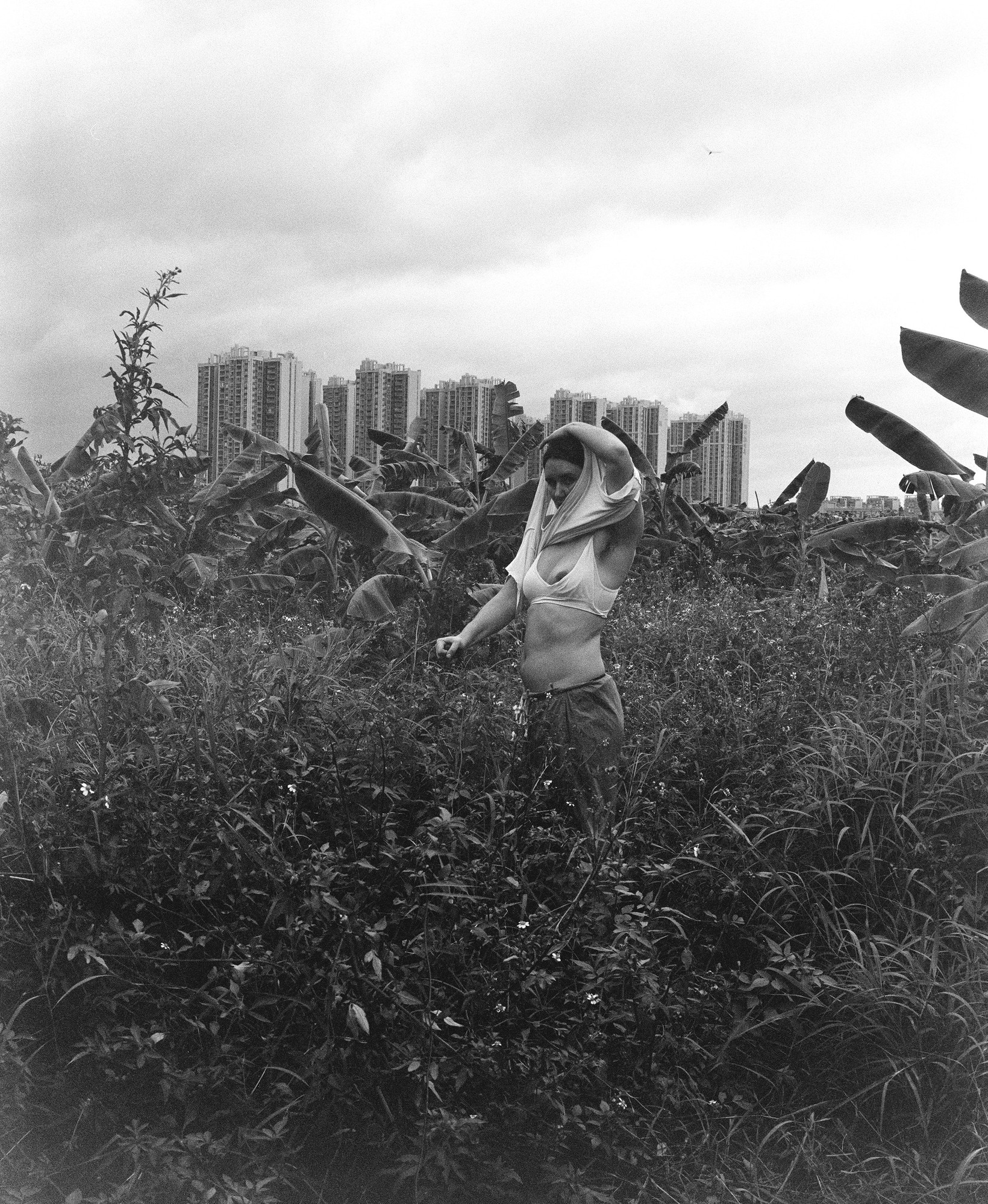 Figure standing in tall grass with high-rise towers in the background