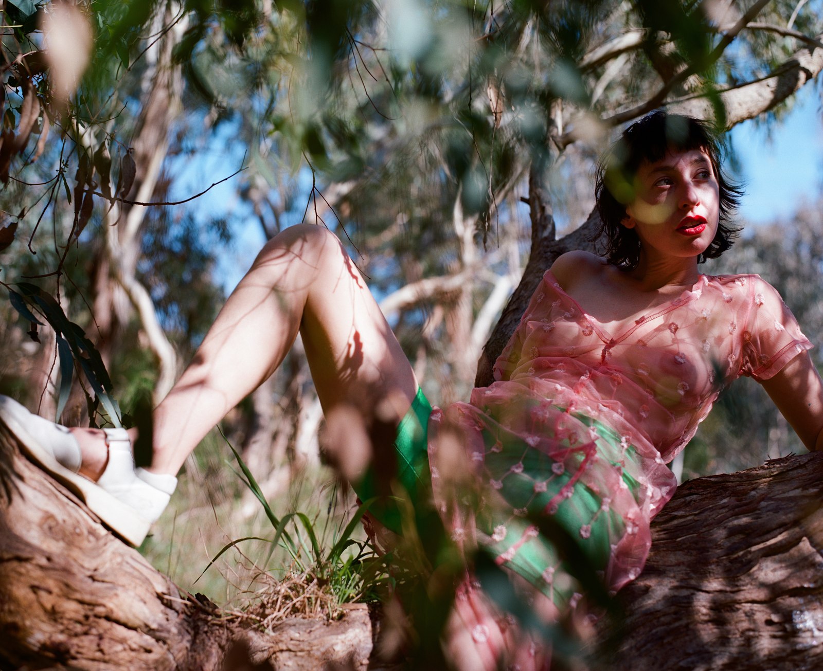 Portrait of a woman in a sheer pink and green dress, reclining against a tree branch