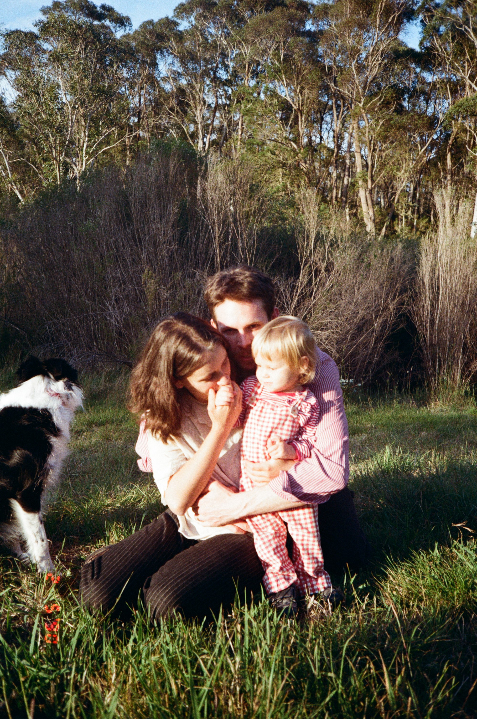A family of three embracing in a field with their dog